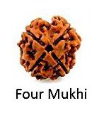 Four Mukhi