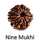 Nine Mukhi