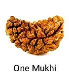 One Mukhi