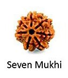 Seven Mukhi