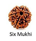 Six Mukhi