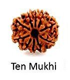 Ten Mukhi