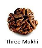 Three Mukhi