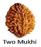 Two Mukhi